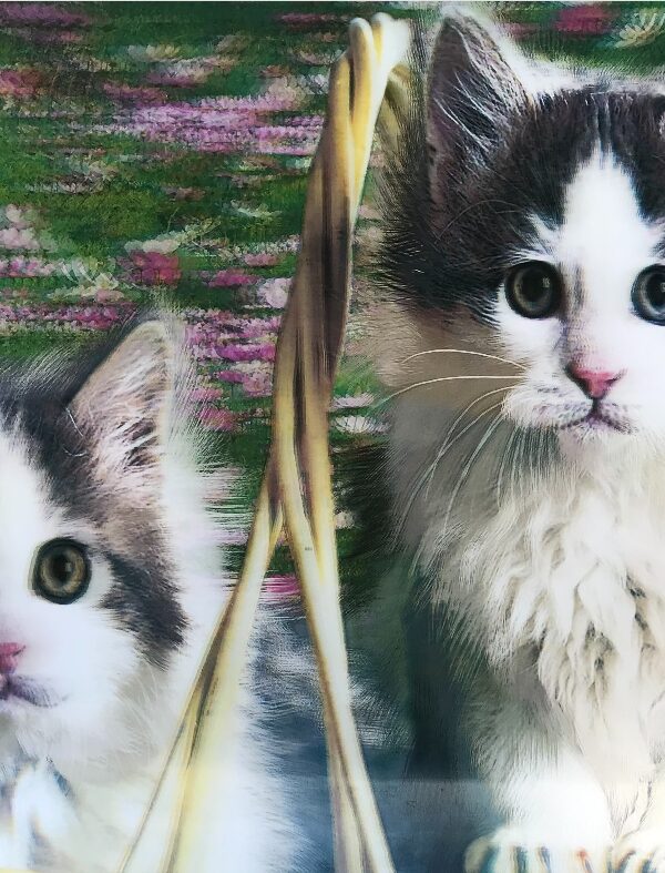 5D Elmas Boyama Sevimli Kediler İkili Kedi Resmi Tablosu 40x60 cm (K0)