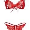 Kırmızı Dantelli Fantazi Sütyen ve G-String Takım TM2048 - Görsel 3
