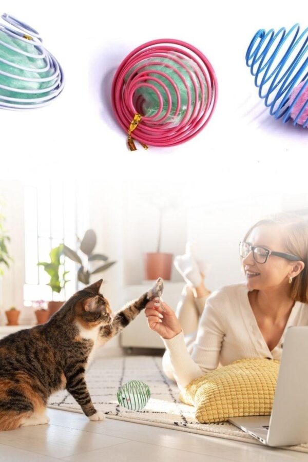 Yaylı Metal Fareli Kafes Kedi Oyun Topu Sıçrayan Spiral Kedi Topu (K0)